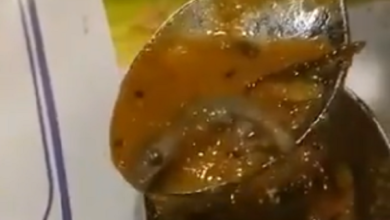 Dead lizard found in sambar of fast food restaurant