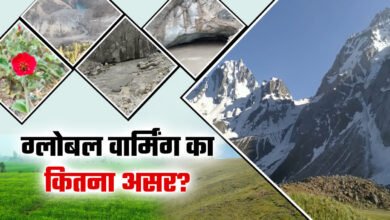 In-depth study of the effects of global warming on the Himalayan ecosystem: Threats to wildlife, vegetation and water resources