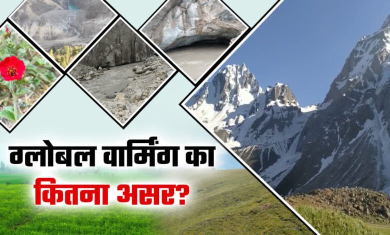 In-depth study of the effects of global warming on the Himalayan ecosystem: Threats to wildlife, vegetation and water resources