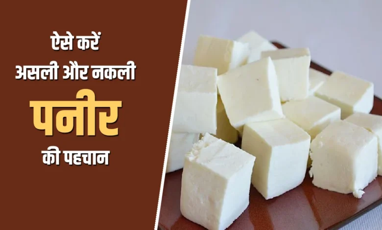 There is a flood of synthetic paneer in the market: How to identify real and fake paneer