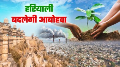 A new initiative amid rising pollution in Gwalior, urban forest to be built on Alapur hill