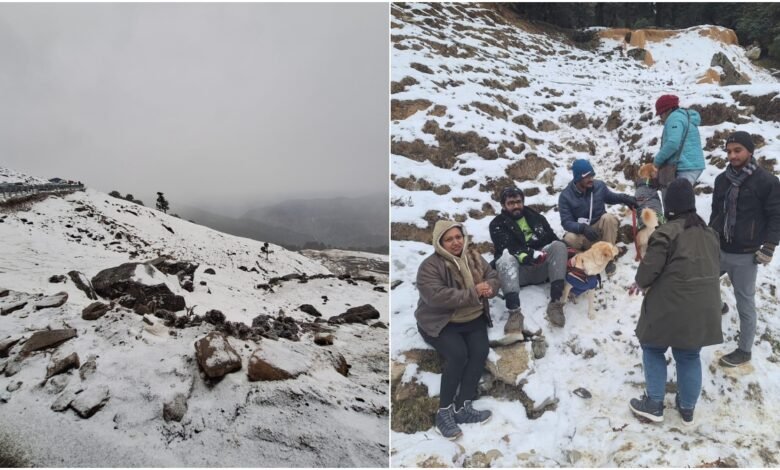Rudraprayag: Tourists flock to Chopta to celebrate New Year, enjoying snowfall