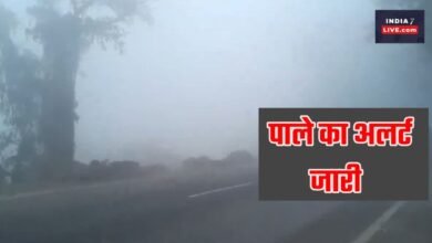 Cold wave wreaks havoc in Uttarakhand: Frost on mountains, fog in plains