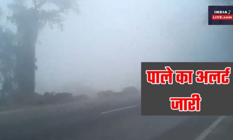 Cold wave wreaks havoc in Uttarakhand: Frost on mountains, fog in plains