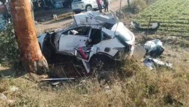 Tragic accident on Rudrapur-Haldwani road: Mother and son died, trying to save a kitten proved costly