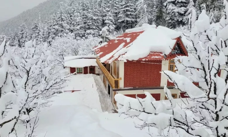 Severe cold in Uttarakhand: Yellow alert for fog, snowfall likely in high altitude areas