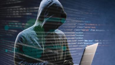 Champawat: Cyber ​​​​thugs duped a girl of 28 thousand rupees by digitally arresting her