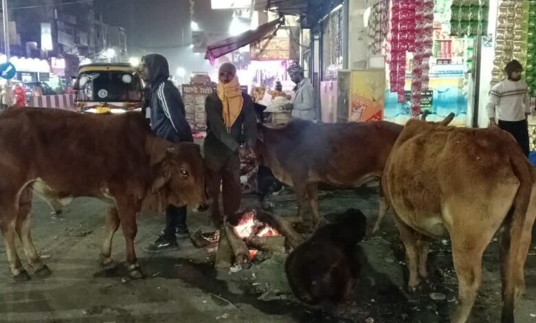 Due to severe cold and fog, life in Haldwani is disrupted, Municipal Corporation has made arrangements for bonfire