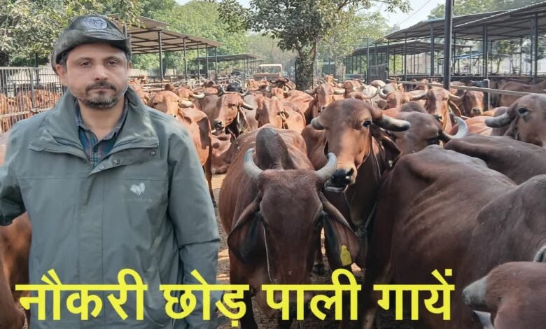 Inspiring story of Aseem Rawat: Left abroad and started cow rearing in the village, built a company worth Rs 8 crore