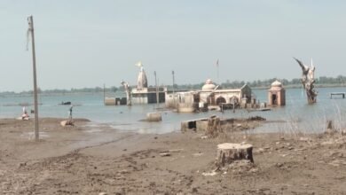Barwani: Water level in Narmada backwater still remains high, Rajghat temple submerged