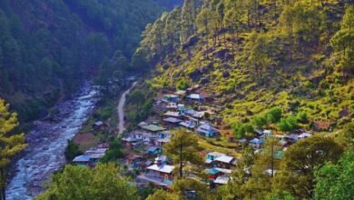 Afforestation Funds Misused for iPhones, Laptops, and Renovation in Uttarakhand: CAG Report