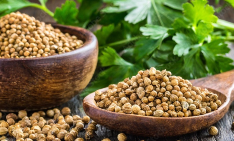 Coriander is beneficial in thyroid problems, know its uses and benefits