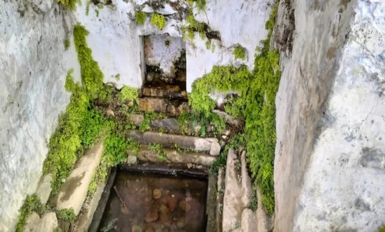 Demand for 360 Mahabharata period ponds, conservation and research center in Barkot of Uttarkashi