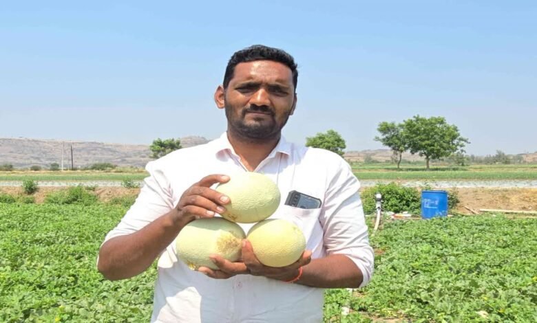 Success of young farmer Kiran Gosavi: Earned Rs 8 lakh in two months by selling melon