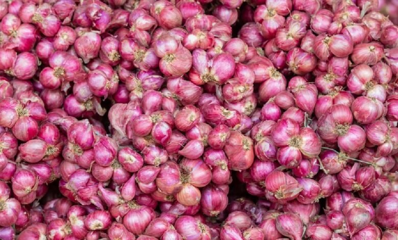 Relief to onion farmers: Government announced removal of export duty
