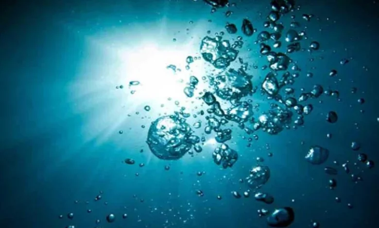 Dark oxygen: Scientists disagree on oxygen formation in the deep sea