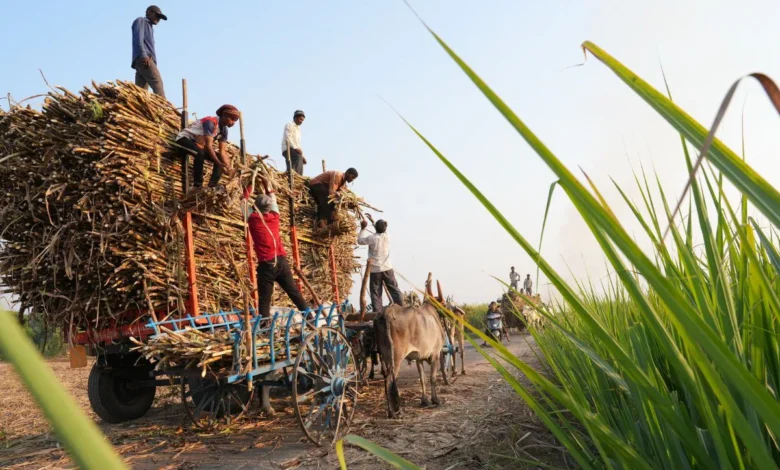 New revolution in agriculture through AI: Sugarcane production increased by 40% in Maharashtra