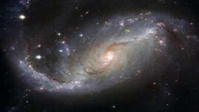 Signs of life outside the solar system: Possibility of biological activity on planet K2-18b