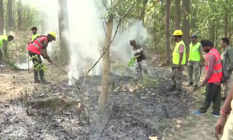 Wildlife in danger due to fire in Uttarakhand forests, department does not have data of loss