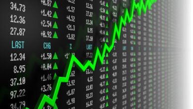 The week started well in the stock market, Sensex rose by 455 points, Nifty made a new record