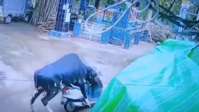 Bull drives a scooter in Rishikesh, shocking incident captured on CCTV