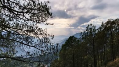 Change in weather in Uttarakhand: Relief from rain in hilly areas, humidity continues in plains