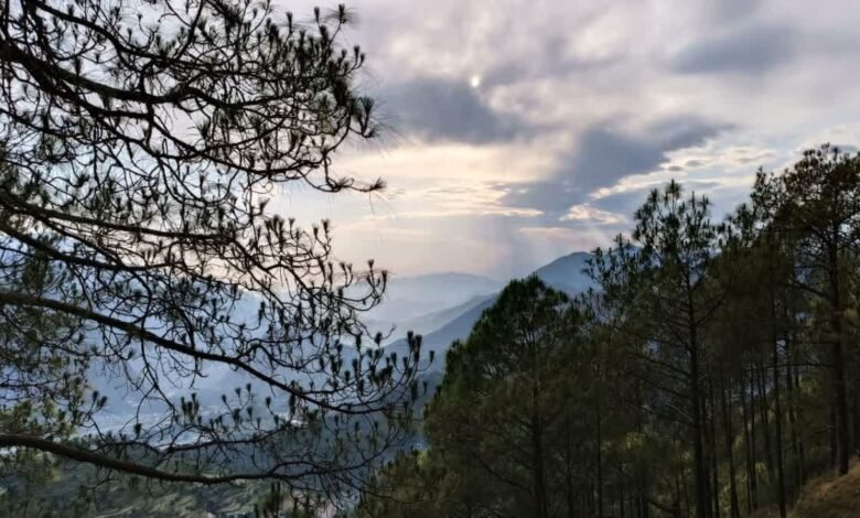 Change in weather in Uttarakhand: Relief from rain in hilly areas, humidity continues in plains