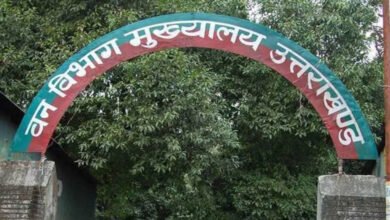 Allegations of plantation scam in Uttarakhand forest department, a plant worth Rs 10 was bought for Rs 100