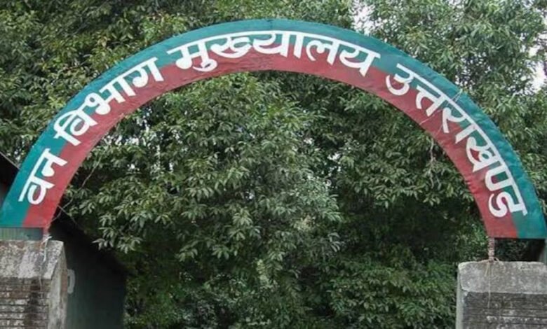 Allegations of plantation scam in Uttarakhand forest department, a plant worth Rs 10 was bought for Rs 100