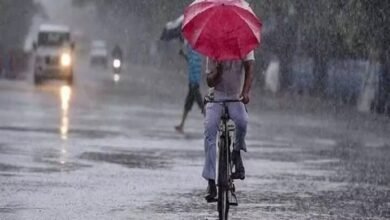 There is a possibility of early arrival of monsoon in Uttarakhand, SDRF and administration are fully prepared